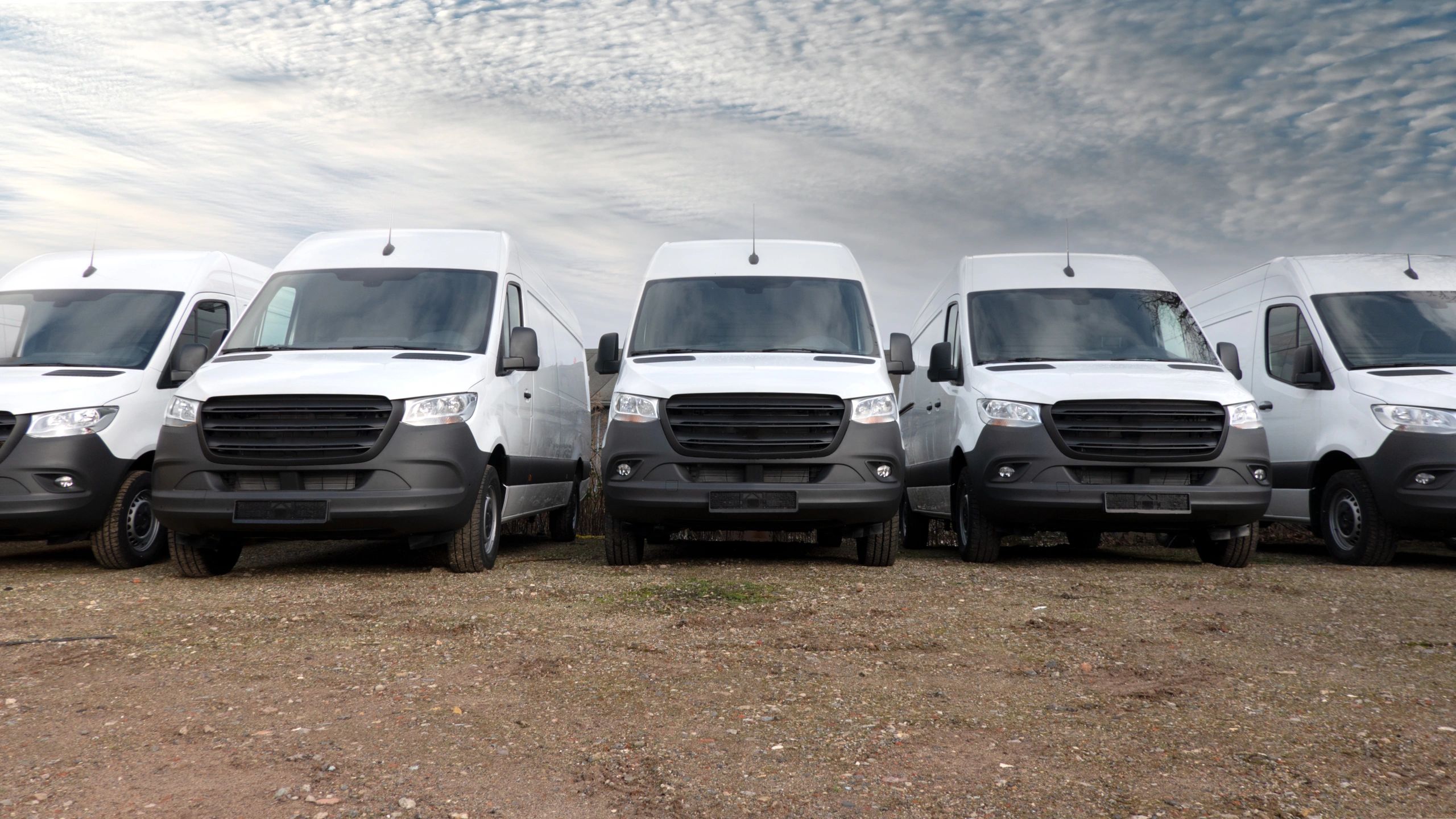 White vans lined up for hire